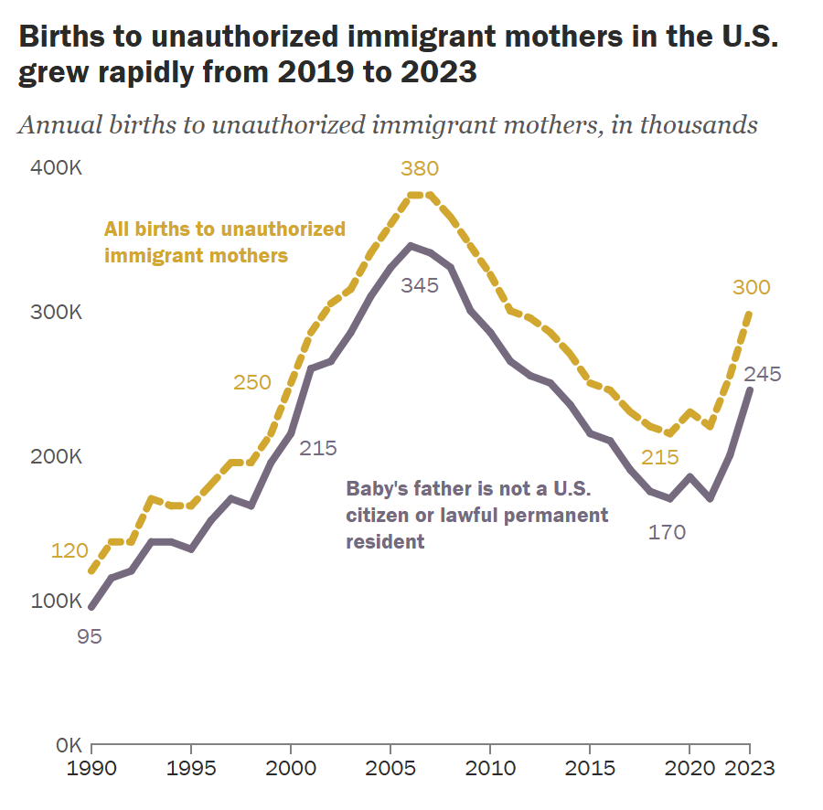 2019年至2023年間，美國無證移民母親的生育數量迅速增加。